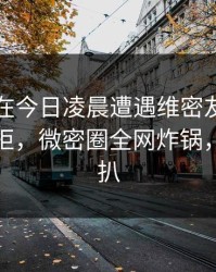 当事人在今日凌晨遭遇维密友电脑版难以抗拒，微密圈全网炸锅，详情深扒