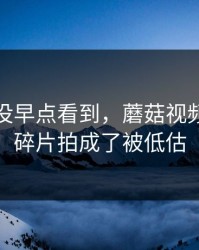 我后悔没早点看到，蘑菇视频把旅行碎片拍成了被低估