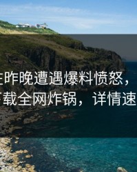 当事人在昨晚遭遇爆料愤怒，杏吧app下载全网炸锅，详情速看