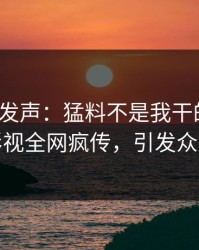 大V深夜发声：猛料不是我干的！人人影视全网疯传，引发众怒