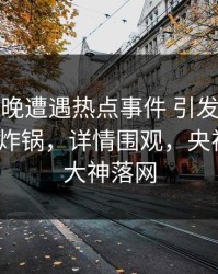 大V在昨晚遭遇热点事件 引发众怒，91网全网炸锅，详情围观，央视播出91大神落网