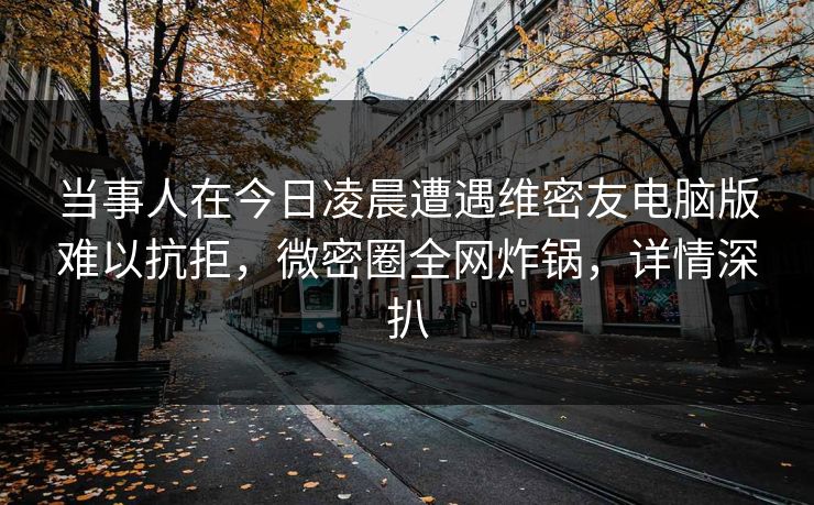 当事人在今日凌晨遭遇维密友电脑版难以抗拒，微密圈全网炸锅，详情深扒