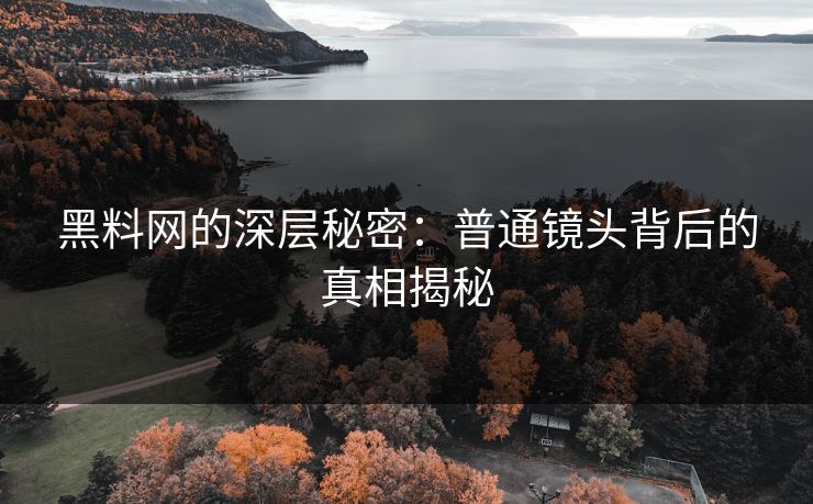 黑料网的深层秘密：普通镜头背后的真相揭秘